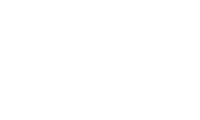 Find your ZYN logo