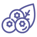 Blueberry image