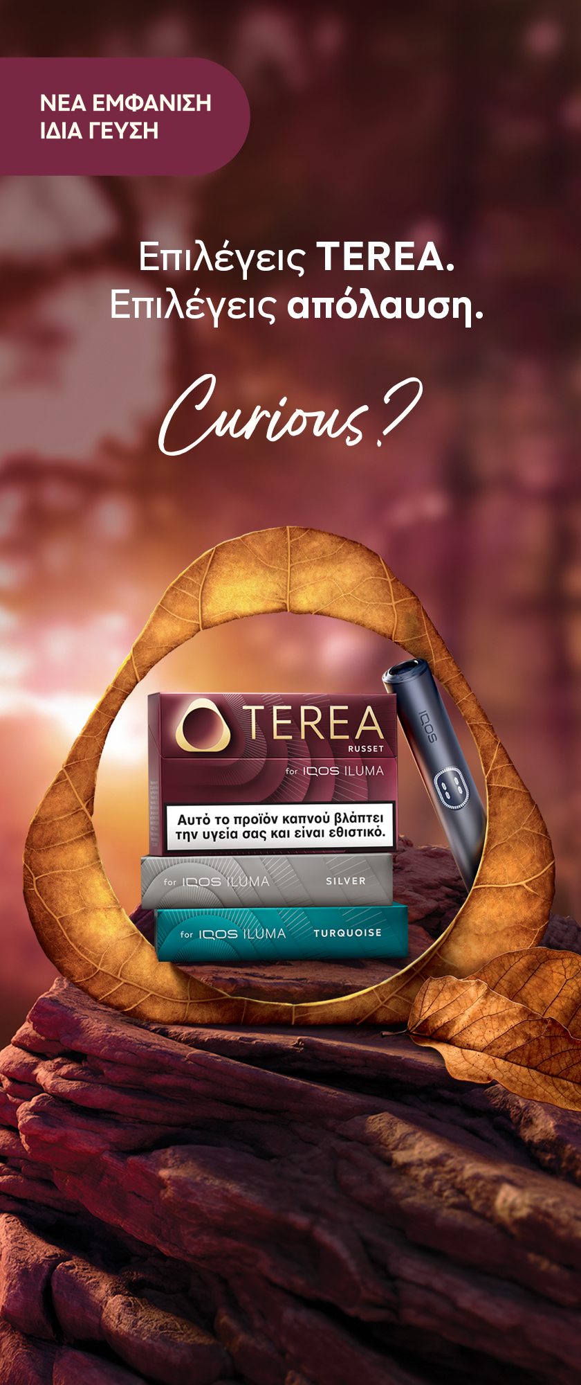 New TEREA packs on a wood leaf background 