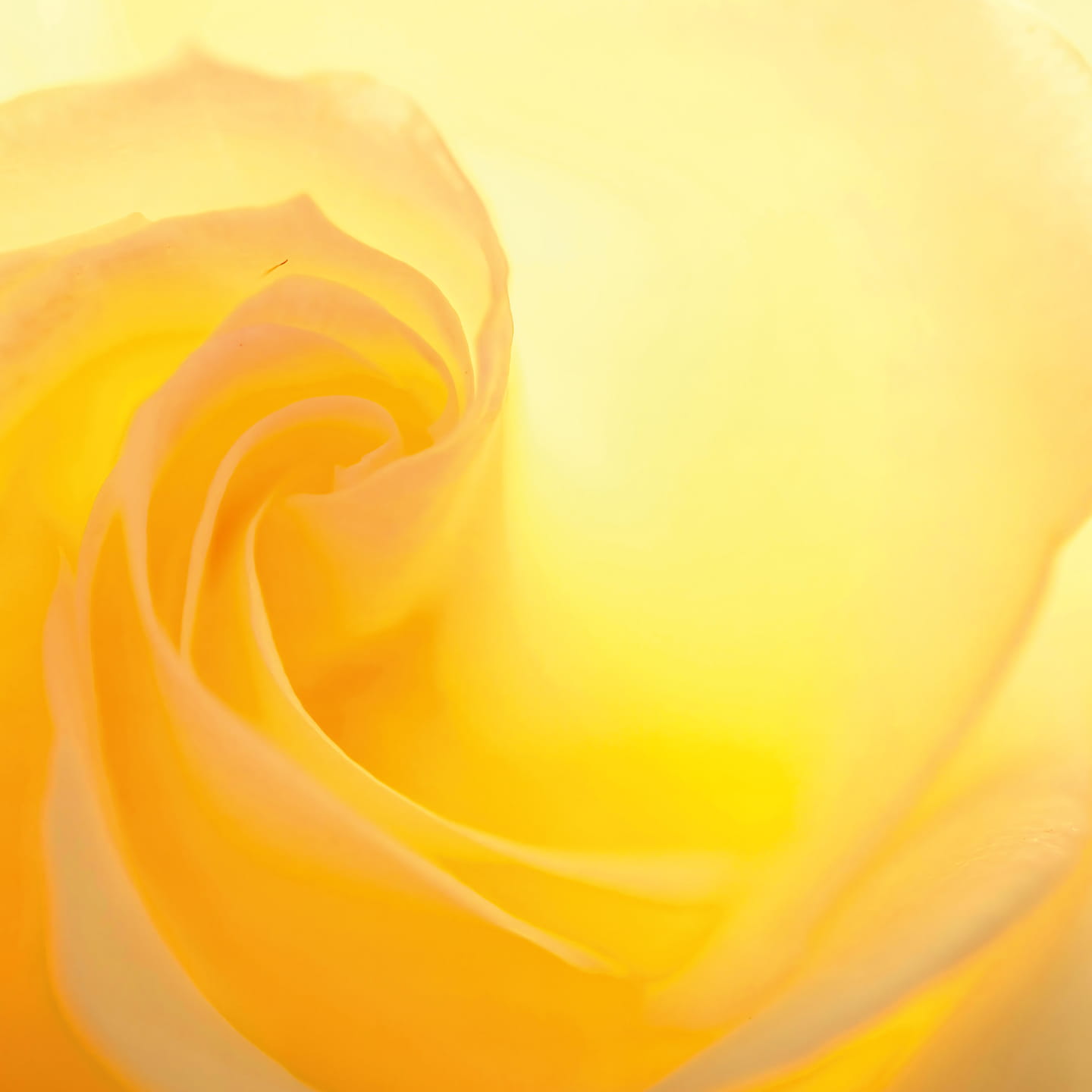 Εικονογράφηση HEETS Yellow
