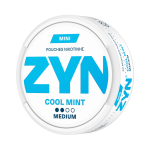 ZYN Cool Mint Mini